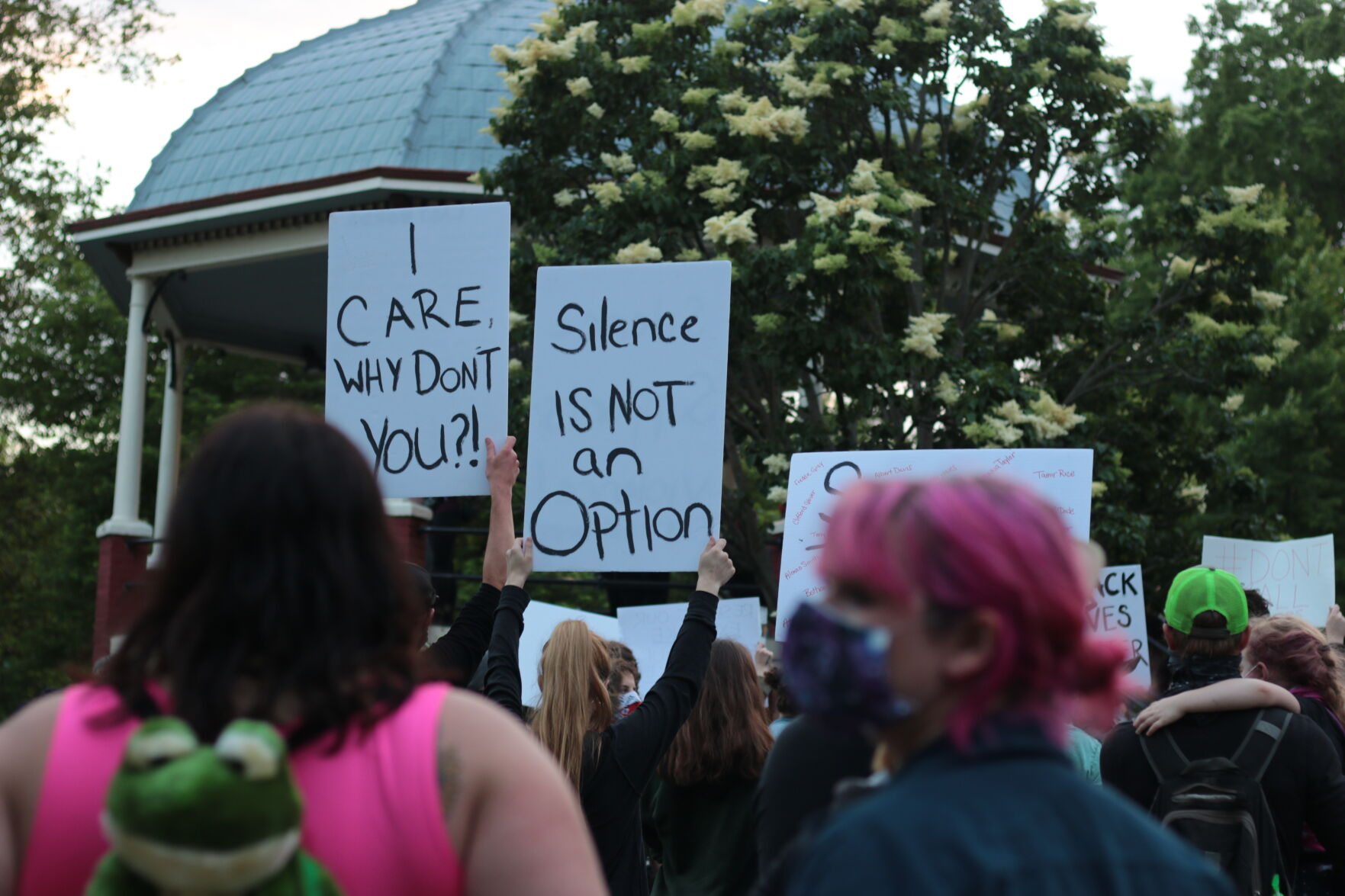 BLM Protest Sign
